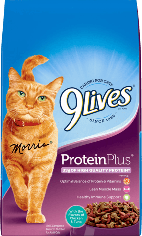 9Lives Protein Plus
